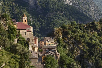 France, Alpes-Maritimes, Roya Valley (Nice hinterland), at the foot of the Mercantour National Park, perched village of Saorge, Saint-Sauveur (St. Saviour) church overlooks the valley