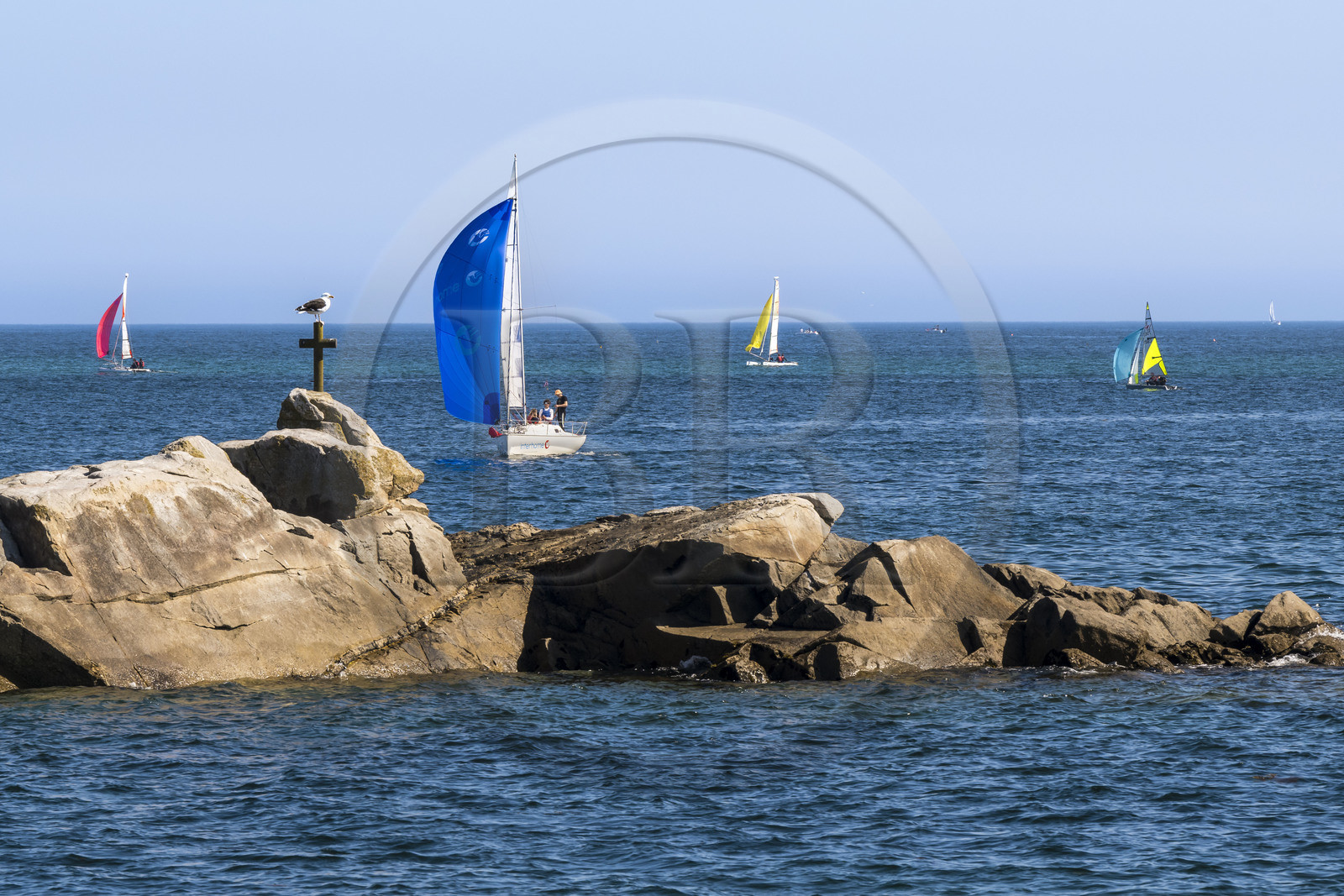 France, Finistère (29), Roscoff, voiliers à l'entrée du port