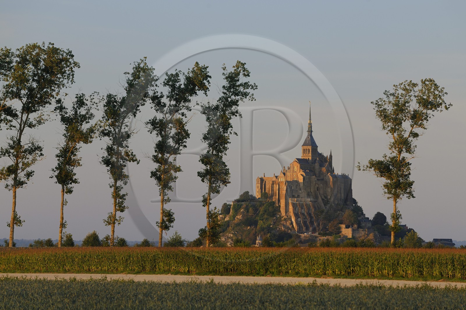 France, Manche, Mont Saint Michel, listed as World Heritage by UNESCO, and the polders, growing corn