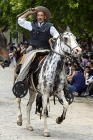 Argentina, Buenos Aires Province, San Antonio de Areco, Tradition Day festival (Dia de Tradicion), gaucho on horseback in traditional dress during the parade