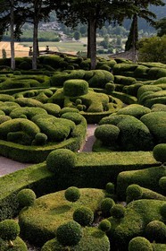 France, Dordogne, Perigord Noir, Dordogne Valley, Vezac, park from Les Jardins de Marqueyssac of the 18th century, terraced gardens with box tree inspired by Le Notre