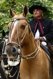 Argentina, Buenos Aires Province, San Antonio de Areco, Tradition Day festival (Dia de Tradicion), silversmith work on a silver harness used for special occasions by an estanciero (gaucho who owns a ranch)