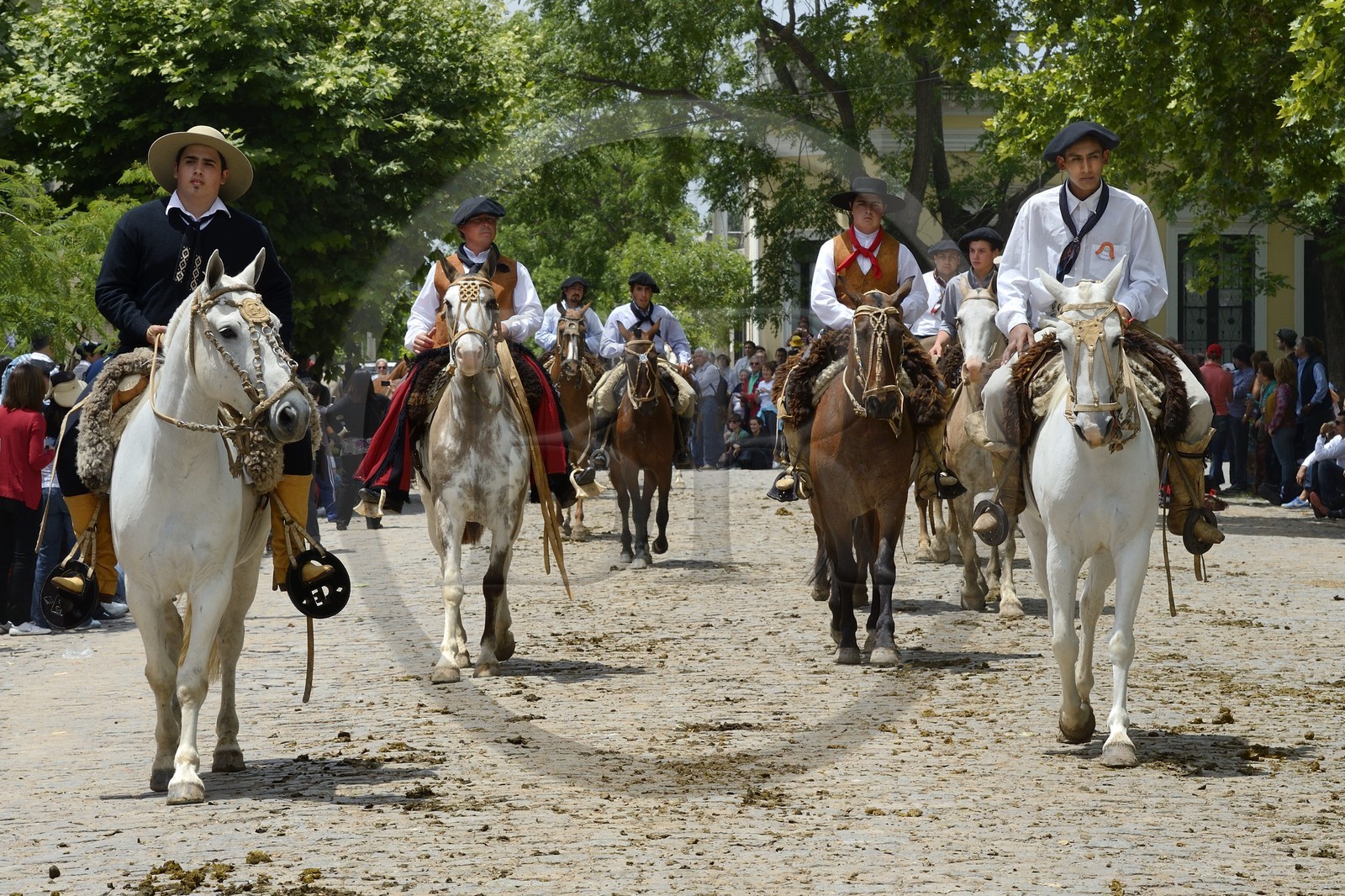 Argentine, province de Buenos Aires, San Antonio de Areco, fête du Jour de la Tradition (Dia de la Tradicion), gauchos à cheval défilant en habit traditionnel