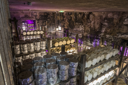 France, Aveyron (12), parc naturel régional des Grands-Causses, Roquefort-sur-Soulzon, reconstitution de la cave d'affinage du fromage de Roquefort de la marque Gabriel Coulet