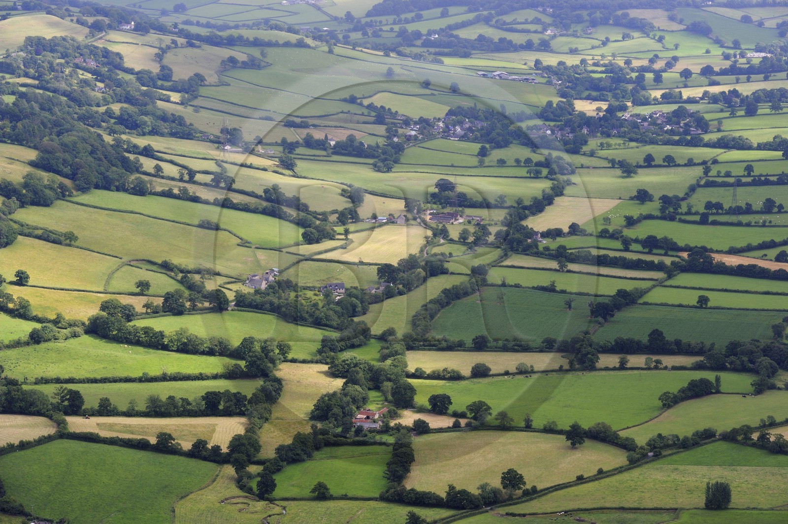 Royaume-Uni, Angleterre, Dorset, champs et bocages dans la région de Honiton (vue aérienne)