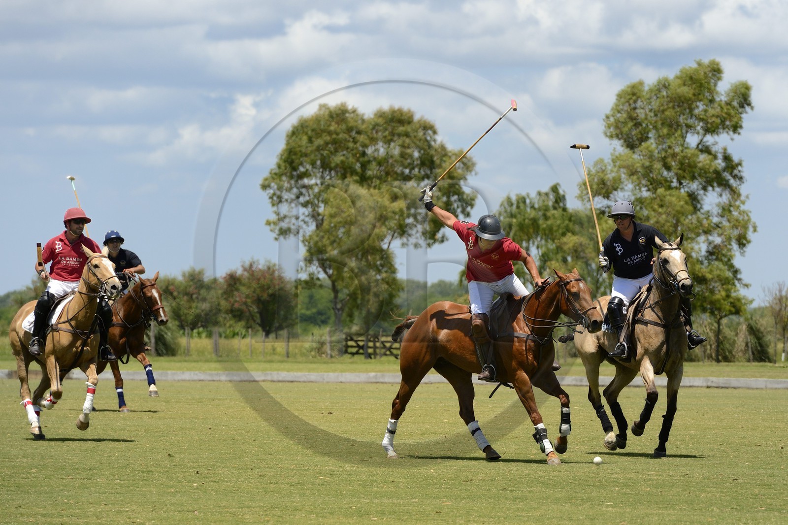 Argentine, province de Buenos Aires, San Antonio de Areco, estancia La Bamba de Areco, match de polo