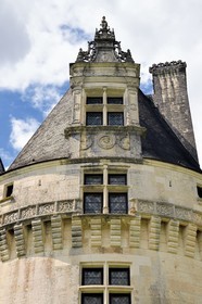 France, Dordogne (24), Périgord Vert, Villars, château de Puyguilhem de style Renaissance, haut de lucarne décoré au sommet de la tour