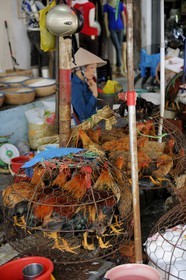 Vietnam, Haiphong, market, chicken on sale