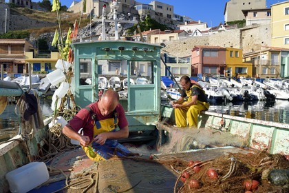 France, Bouches du Rhone, Marseille, Endoume district, Vallon des Auffes, Lucien Jativa is back from fishing and sorting fish