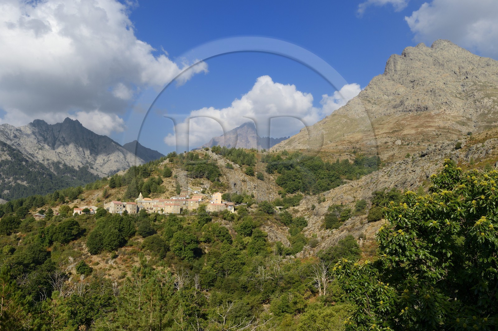 France, Haute-Corse (2B), région du Niolu (Niolo), Calasima plus haut village de Corse (1 095m) au pied de la montagne du Paglia Orba en forme d’aileron de requin