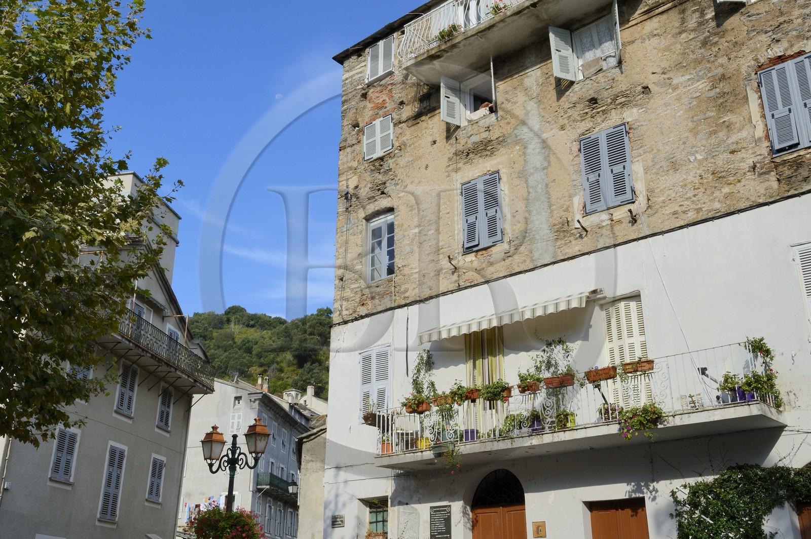 France, Haute-Corse (2B), région de la Casinca en Castagniccia, village peché de Vescovato, maisons de schiste