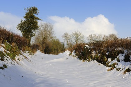 France, Manche, Cotentin, the bocage in the snow