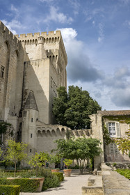 France, Vaucluse, Avignon, Palais des Papes (Palace of the Popes) listed as World heritage by UNESCO, the Trouillas tower, the tallest in the background, the Latrines or Icehouse tower and the Kitchens tower with its giant chimney overlook the papal gardens to the east