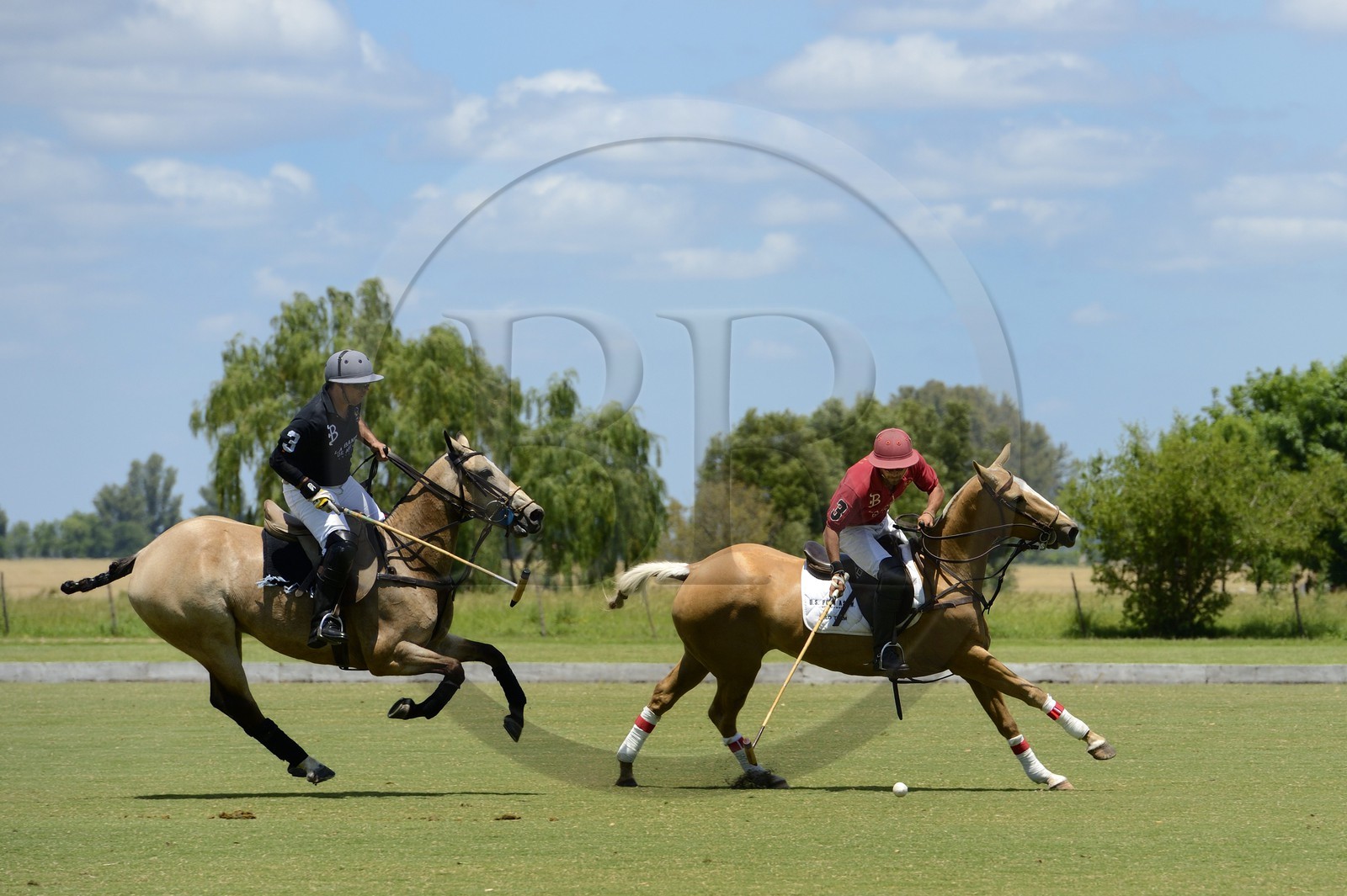 Argentine, province de Buenos Aires, San Antonio de Areco, estancia La Bamba de Areco, match de polo