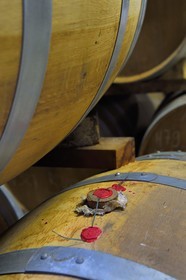 France, Charente, Sireuil, Distillerie des Moisans, in aging and blending cellars, vintage cognac sealed with wax, can only be opened in the presence of a bailiff