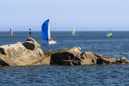 France, Finistère, Roscoff, sailboats at the entrance to the port