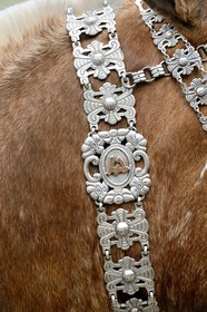 Argentina, Buenos Aires Province, San Antonio de Areco, Tradition Day festival (Dia de Tradicion), silversmith work on a silver harness used for special occasions, detail