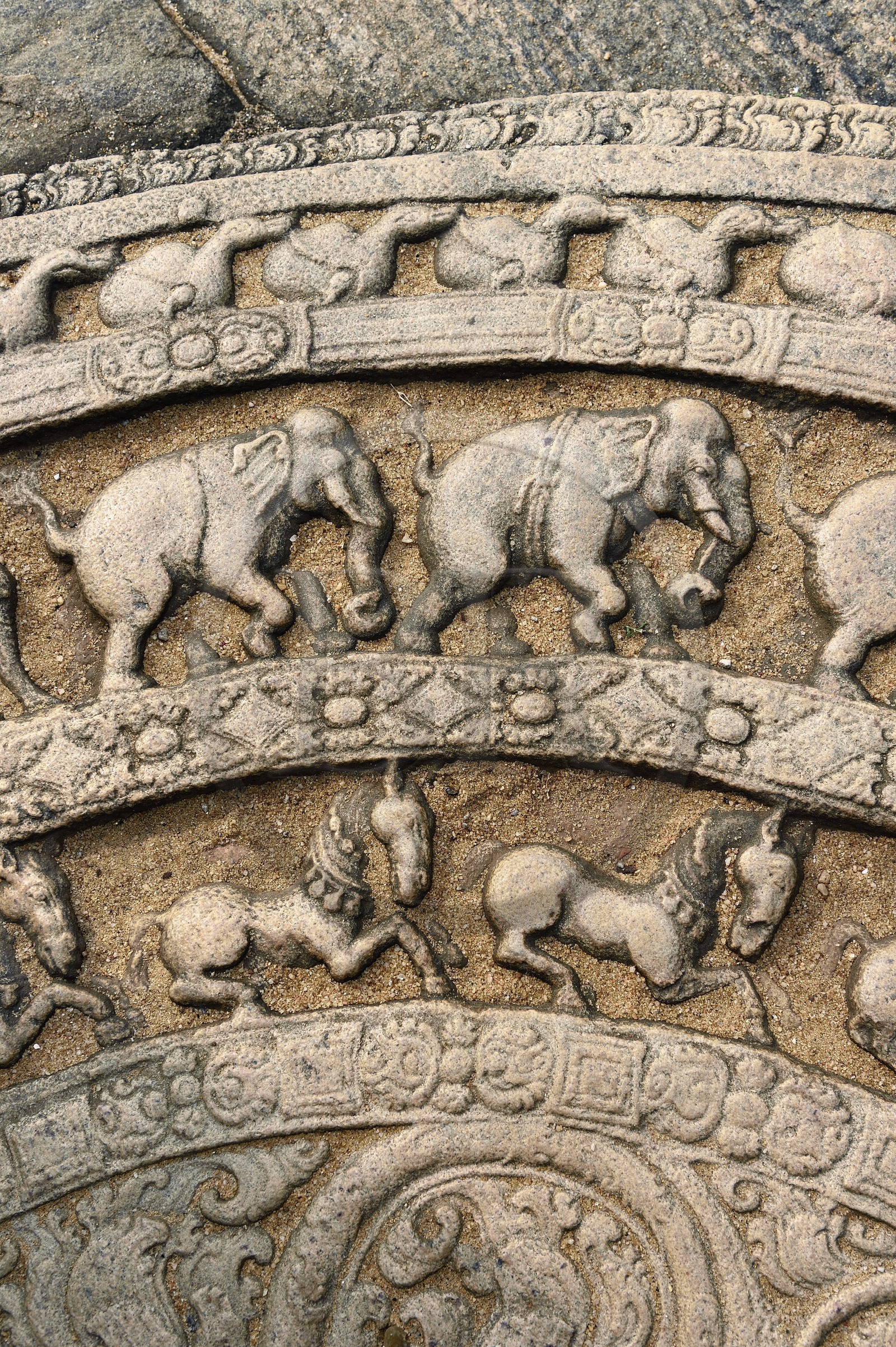 Sri Lanka, province du Centre-Nord, Polonnaruwa, l'ancienne capital du pays (XIe au XIIIe siècle) est classée au Patrimoine Mondial de l'UNESCO, terrasse de la relique de la dent, pierre de lune en demi-cercle (sandakada pahana)