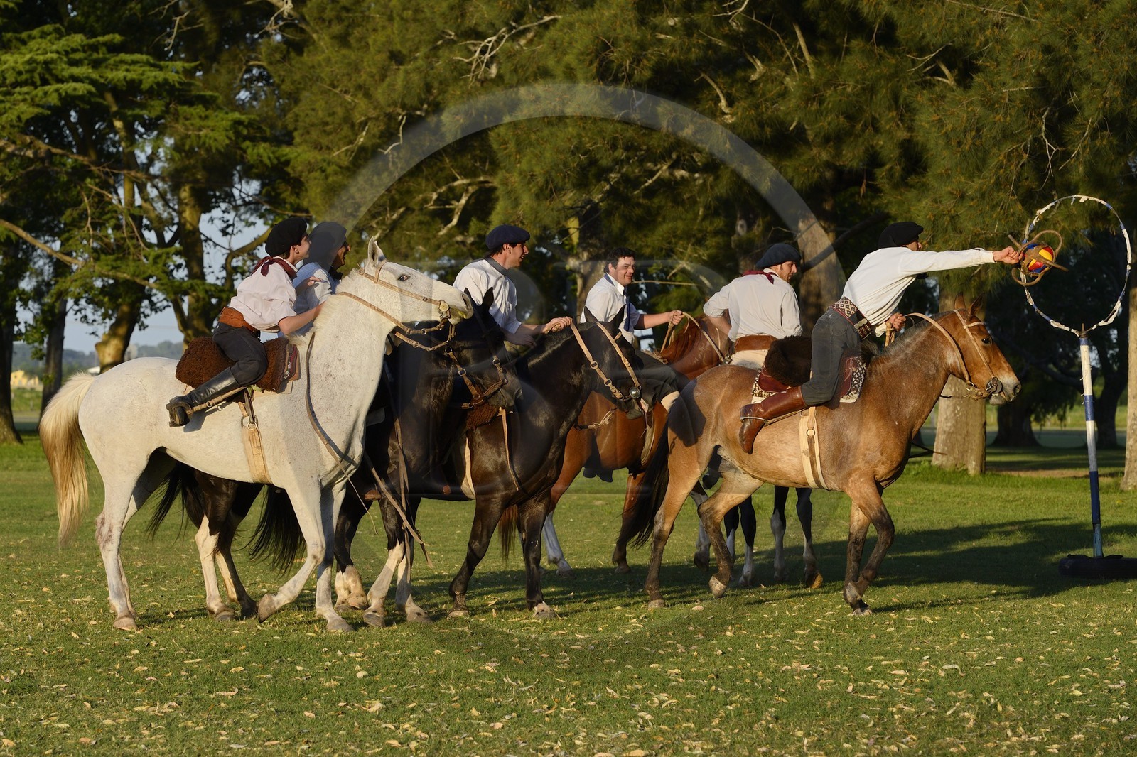 Argentine, province de Buenos Aires, San Antonio de Areco, estancia La Bamba de Areco, gauchos jouant au Pato (horse-ball) qui est un sport d’équipe équestre, mélange de rugby et de basket à cheval
