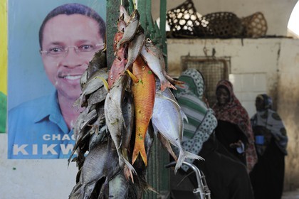 Tanzania, Zanzibar, Stown Town, Darajani market, fish market