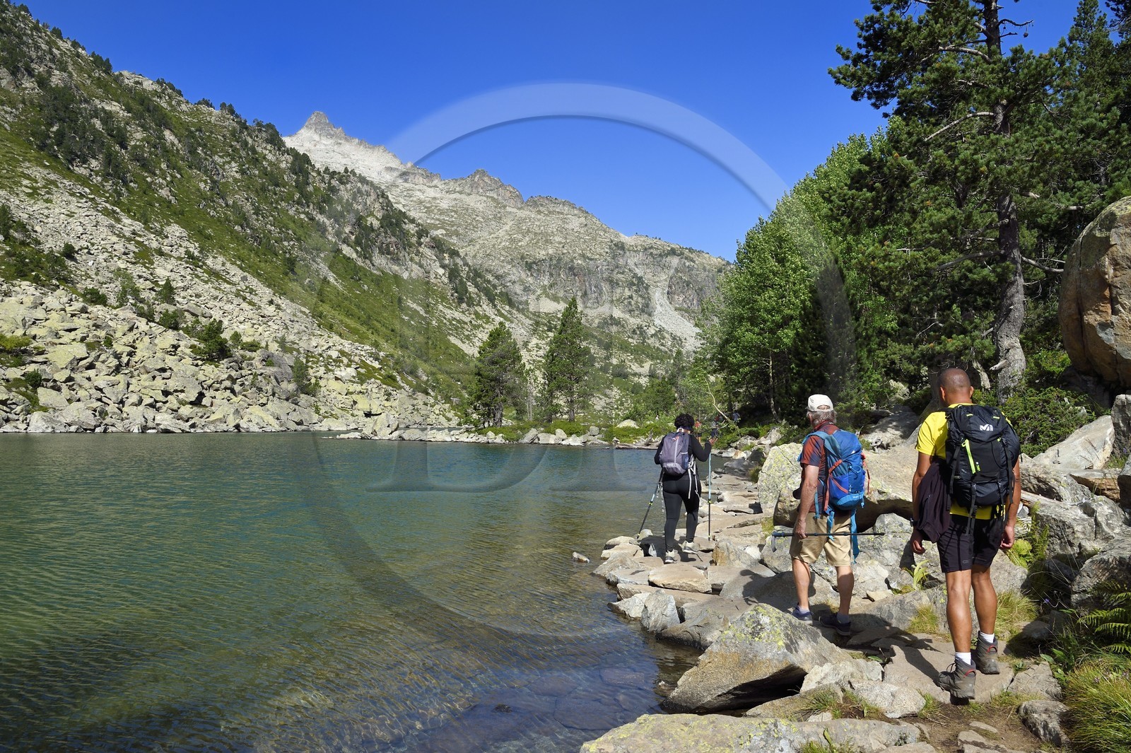 France, Hautes-Pyrénées (65), Saint-Lary-Soulan, Réserve naturelle nationale du Néouvielle, randonnée des lacs du Neouvielle, les Laquettes