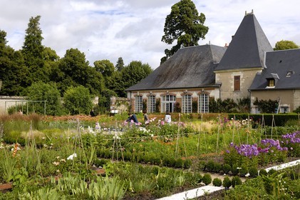 France, Loir-et-Cher (41), château de Cheverny, le jardin potager