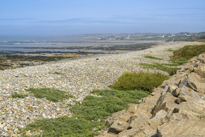 France, Finistère, Pays Bigouden (Bigouden country), Bay of Audierne, Plozevet beach