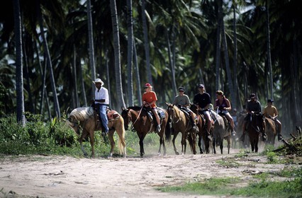 Dominican Republic, Punta Cana, Bavaro, horse riding in a coconut forest