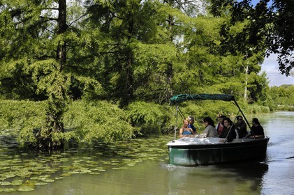 France, Loir et Cher, Chateau de Cheverny park, row with electric boat following cypress on the canal