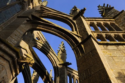 France, Manche, the abbey of Mont Saint Michel, listed as World Heritage by UNESCO, the gargoyles of the church on the Flying buttress