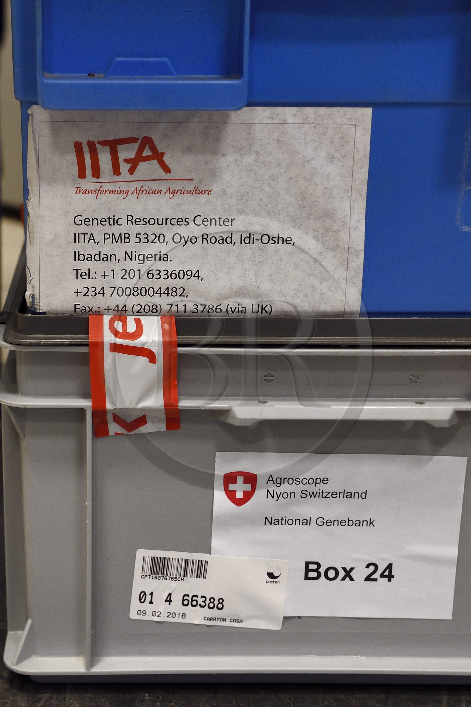 Norvège, Svalbard, Spitzberg, Longyearbyen, la Réserve mondiale de semences du Svalbard (banque de graines du Global Seed Vault), boites contenant des semences en provenance du Nigeria et de Suisse