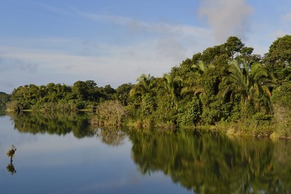 Panama, the Isthmus of Panama between Panama City and Colon along the train line of the Panama Canal Railway