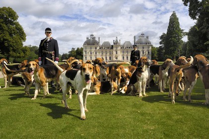France, Loir-et-Cher (41), château de Cheverny, les piqueux Vol au Vent et La Rosée qui gèrent la meute de 90 chiens de chasse à cour