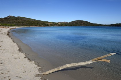 France, Corse du Sud, Bouche de Bonifacio Nature Reserve, Rondinara bay and beach