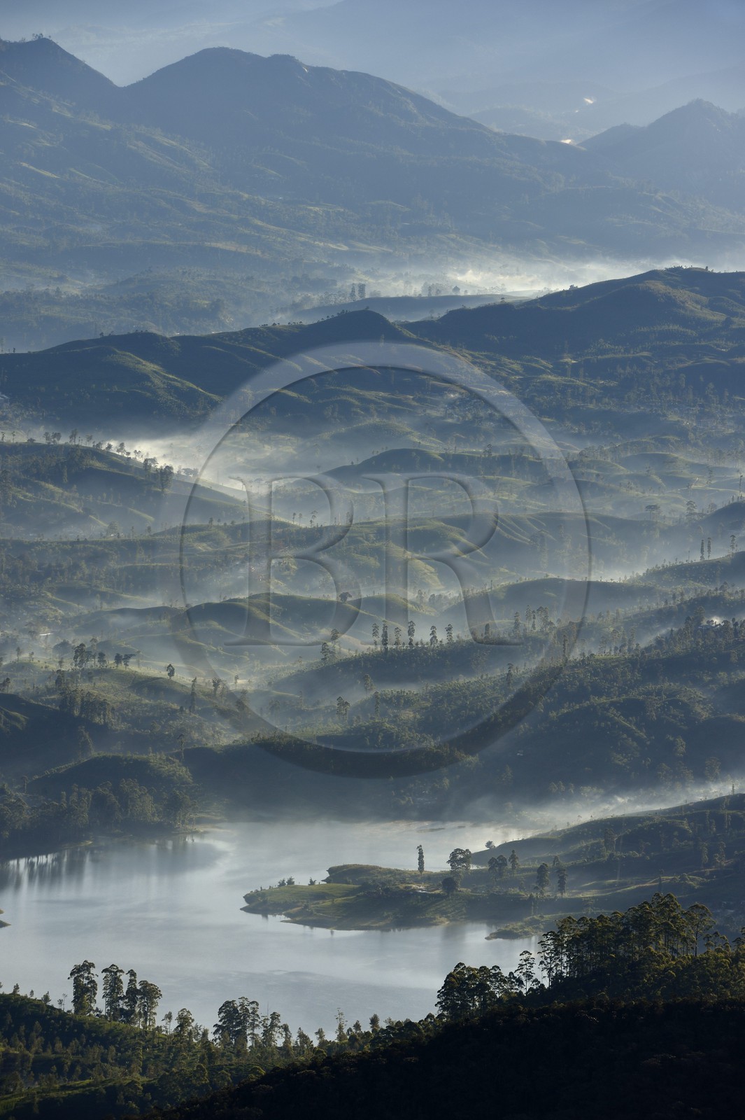 Sri Lanka, province du centre, Dalhousie, paysage sur le réservoir Maussakelle depuis le sommet du Pic d'Adam (Adam's Peak)