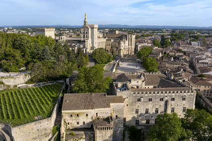 France, Vaucluse, Avignon, the Doms Cathedral and the Palais des Papes (Palace of the Popes) listed as World heritage by UNESCO, the vineyard of the Clos du Palais des Papes and the Petit Palais museum in the foreground (aerial view)