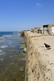 Israel, North district, Galilee, Acre (Akko), old town, listed as World Heritage by UNESCO, western sea wall