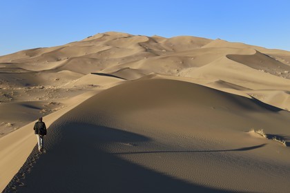 Iran, Province de Yazd, désert du Dasht-e Kavir, Moghestan, randonnée dans le massif dunaire dont la plus haute dune atteint les 200 mètres