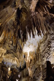France, Dordogne (24), Périgord Vert, Villars, Grotte de Villars, concrétions dans les grottes, fistuleuses en blanc et stalactites
