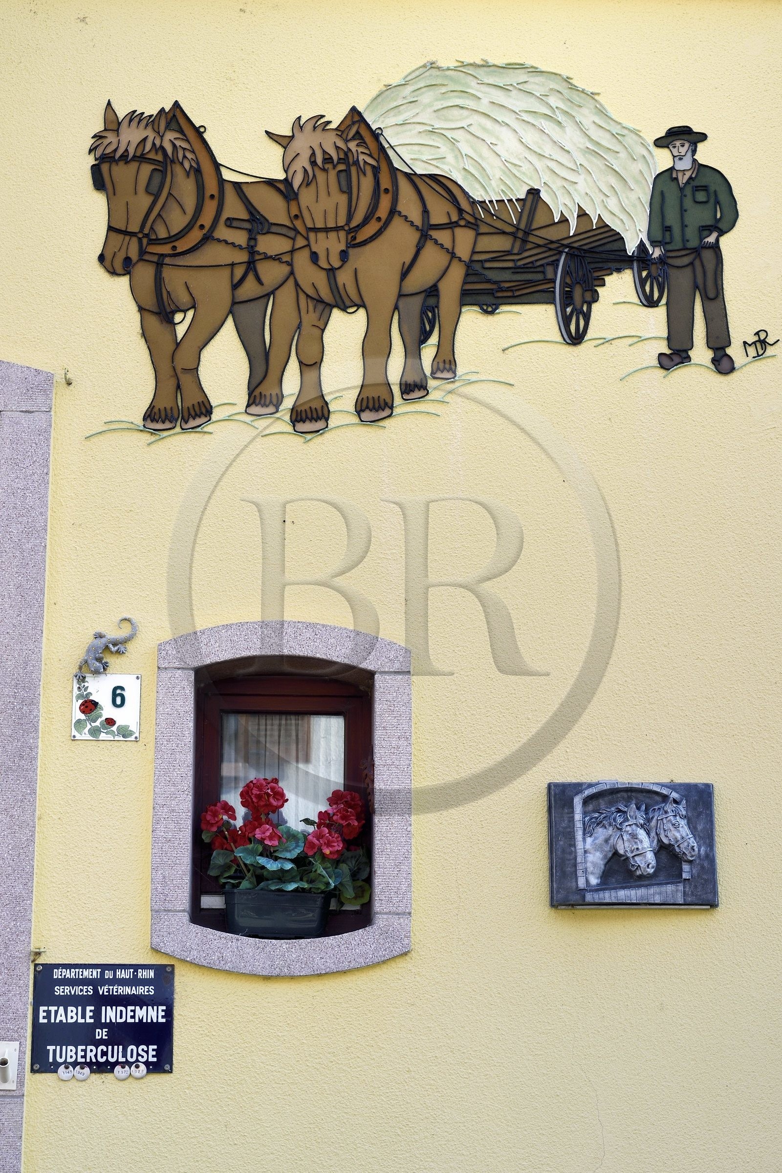 France, Haut-Rhin (68), Neuf-Brisach, ville fortifiée par Vauban, classée Patrimoine Mondial de l'UNESCO, facade de maison mentionnant les épisodes de tuberculose