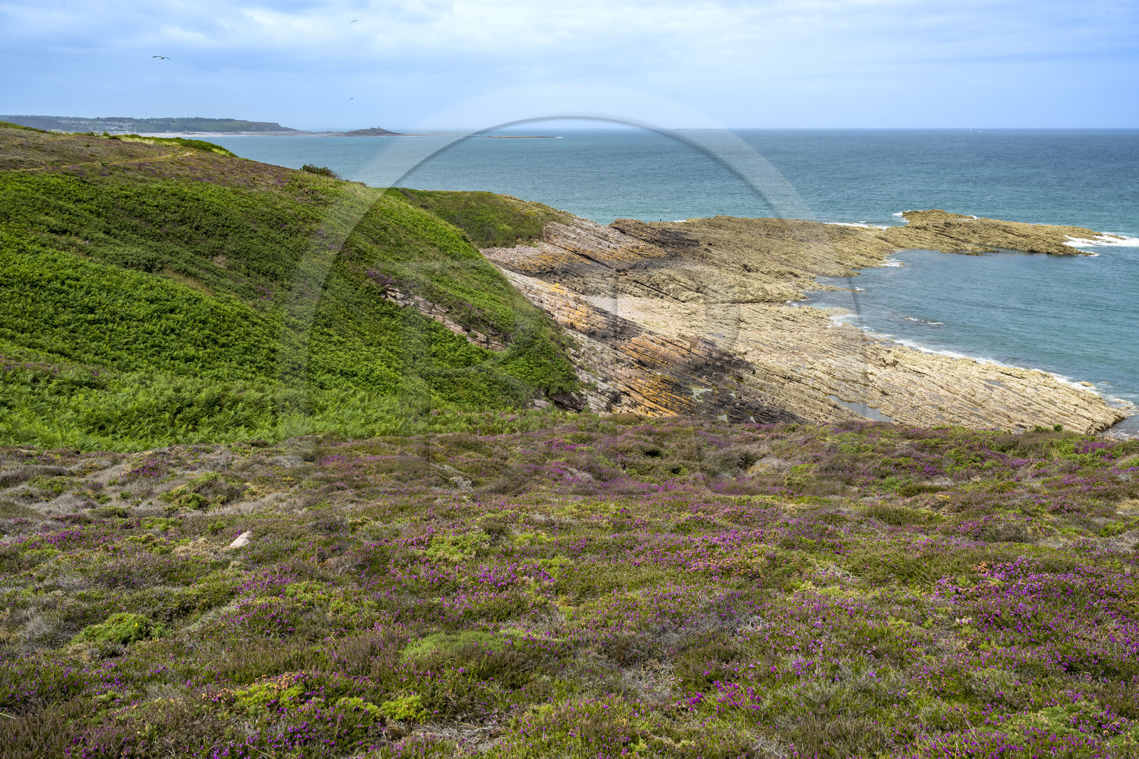 France, Côtes d'Armor (22), Grand Site de France Cap d'Erquy – Cap Fréhel, Fréhel, Pointe aux Chèvres
