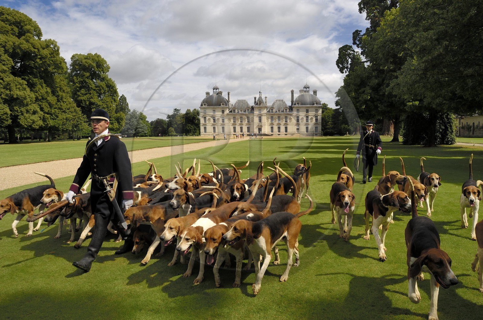 France, Loir-et-Cher (41), château de Cheverny, les piqueux Vol au Vent et La Rosée qui gèrent la meute de 90 chiens de chasse à cour