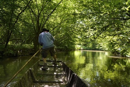France, Bas Rhin, Ebersmunster and Muttersholtz region, the Ried, the boatman Patrick Unterstock in a small flat wooden bottom boat on the Ill river