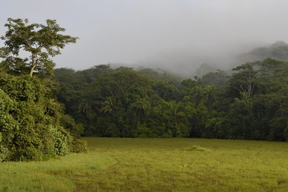 Panama, the Isthmus of Panama between Panama City and Colon along the train line of the Panama Canal Railway