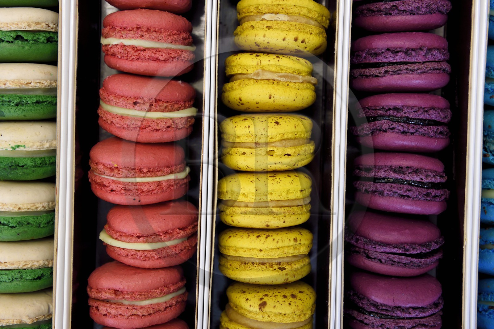France, Var (83), Hyères, Chocolaterie patisserie Dominique, macarons
