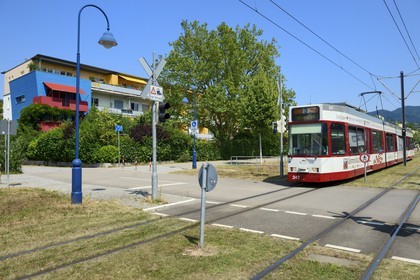 Allemagne, Bade-Wurtemberg, Fribourg en Brisgau, quartier écologique Vauban, le tram