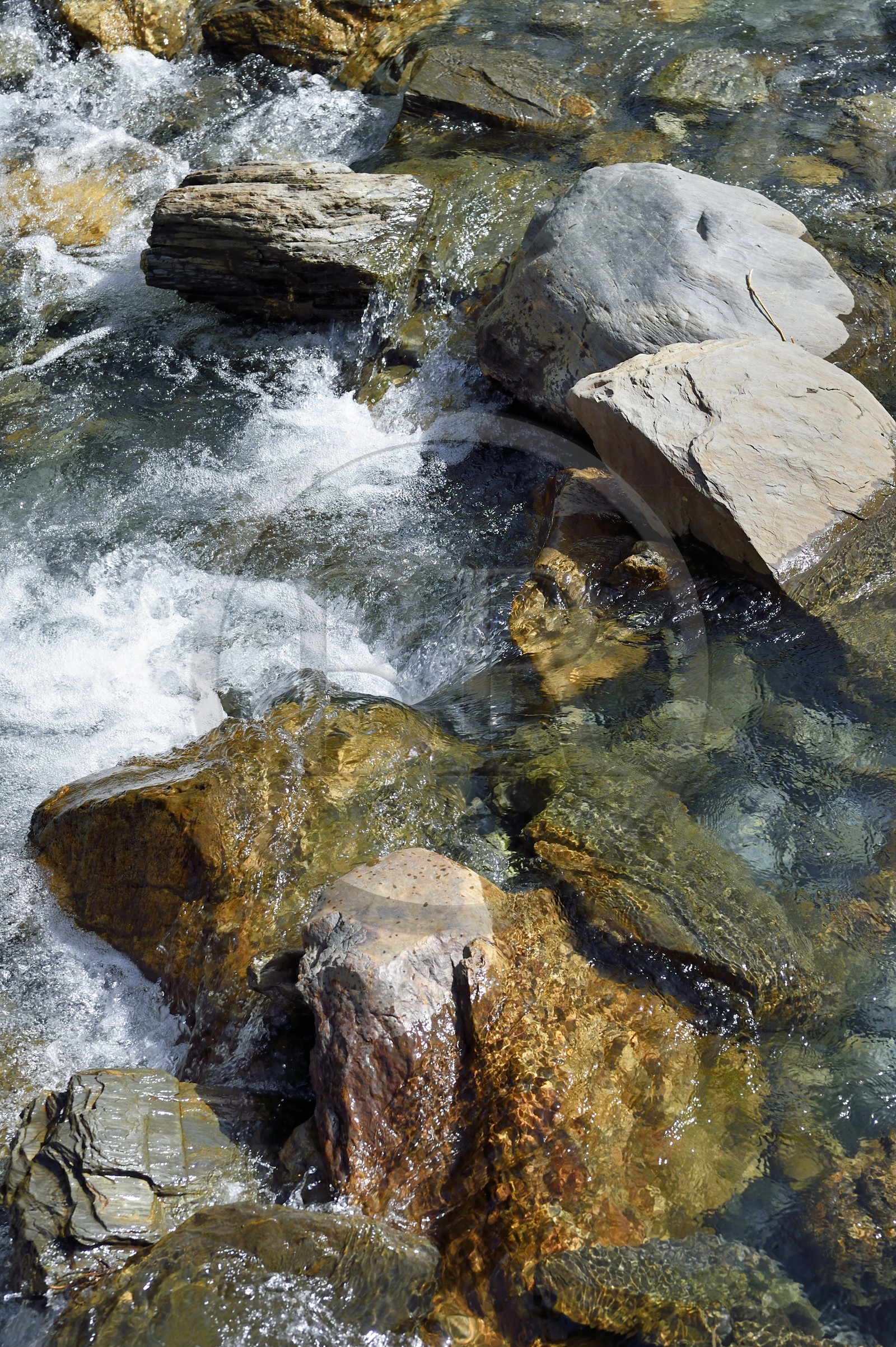 France, Hautes-Pyrénées (65), Saint-Lary-Soulan, vallée du Rioumajou, la (rivière) Neste de Rioumajou