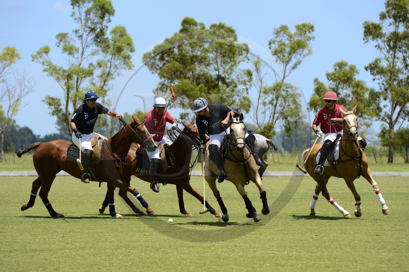 Argentine, province de Buenos Aires, San Antonio de Areco, estancia La Bamba de Areco, match de polo