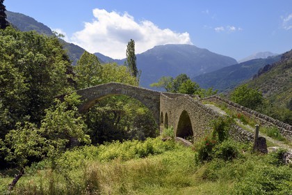 France, Alpes-Maritimes, Roya Valley, La Brigue, Rooster Bridge, Roman bridge