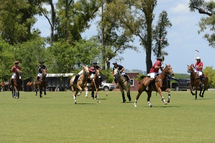 Argentine, province de Buenos Aires, San Antonio de Areco, estancia La Bamba de Areco, match de polo
